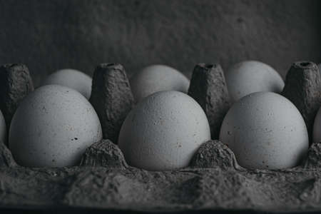 White chicken eggs in a cardboard tray. Black and white photo.の写真素材