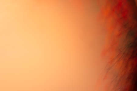 Autumn abstract background in warm orange colors with blurred branches and leaves. Backdrop for Halloween and other holidays. Photo effect.の写真素材