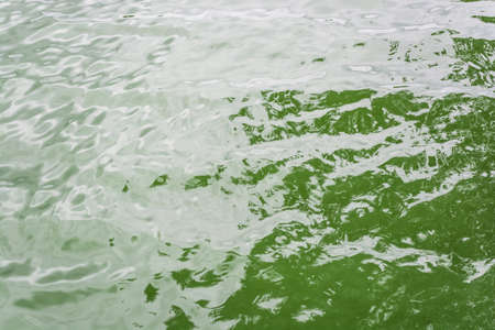 Small river waves of green hue, shining in the sun at noon.の写真素材