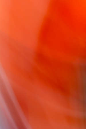 Vertical red festive background with waves, sparkling lines and light blur. Abstract backdrop. Smooth gradient.の写真素材