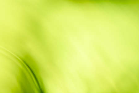 Abstract bright green background banner with soft blur. Lines and waves. spring holiday theme. backdropの写真素材