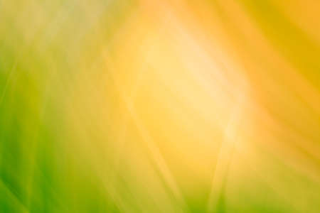 Abstraction of the sun through the green grass. Background in green-orange shades. spring summer banner. backdrop.の写真素材