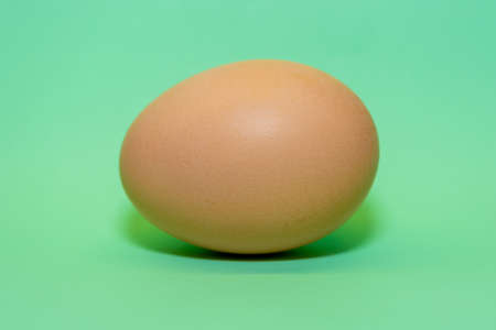 A chicken egg is horizontally located on a pale green background. food theme.
