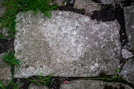 Background for records from a stone. Large flat boulder.