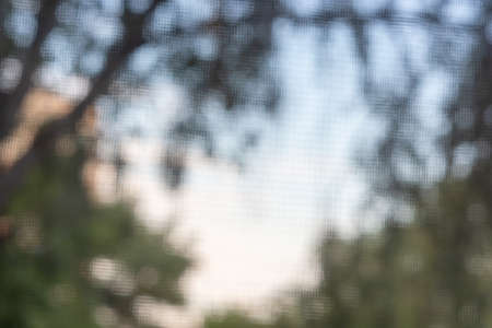 Blurred background through the mosquito net on the window from the sky and trees. backdropの写真素材