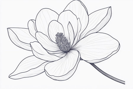 Delicately crafted, a magnolia flower outline reveals its graceful petals and intricate center. This artistic representation highlights the beauty found in nature's simplest forms, capturing elegance.の素材