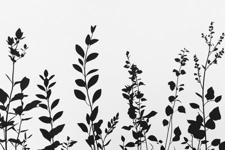 Intricate outlines of various plants stretch elegantly upward, casting delicate shadows and creating a striking contrast against the serene white backdrop in this monochrome display.の素材