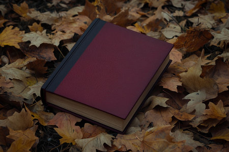 A dark red book lies peacefully among a blanket of golden and brown autumn leaves. The cool air hints at the change of seasons, inviting curiosity and reflection.の素材