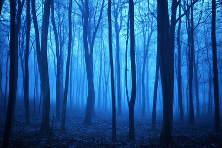Vibrant blue mist envelops tall trees in a serene forest at dawn. Nature whispers tranquility as shadows dance and sunlight filters through the fog, creating a magical atmosphere.の素材