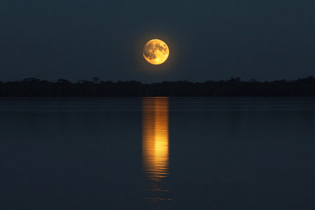 A magnificent full moon illuminates the night sky, reflecting softly on the calm waters of the Amazon River. The dark silhouette of trees forms a serene backdrop against the luminous orb.の素材