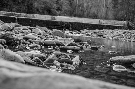 Nature ground waterの写真素材