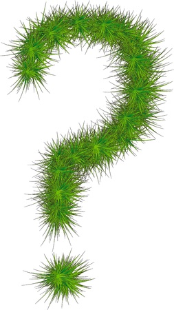 Question mark from pine branches  Vector illustrationのイラスト素材