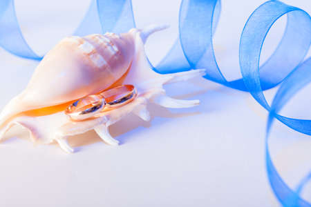 Golden wedding rings on a shell  Grey backgroundの写真素材