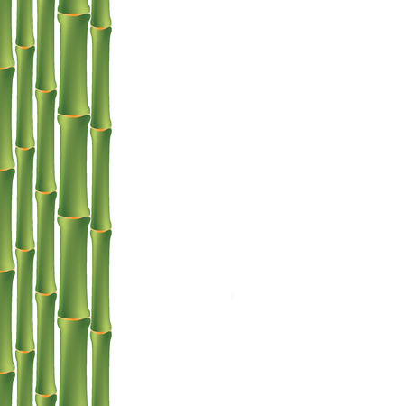 Seamless background with green bamboo. Vector illustrationのイラスト素材
