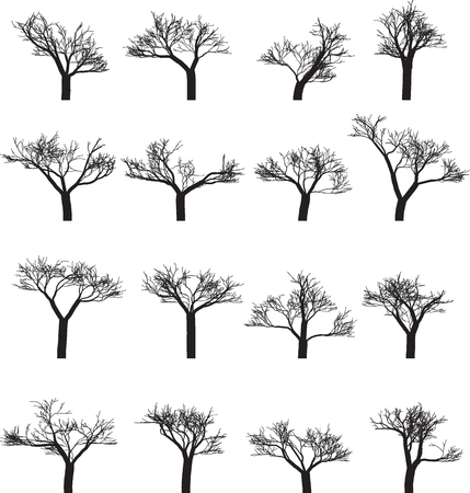 Set of sixteen silhouettes of trees. Vector illustrationのイラスト素材