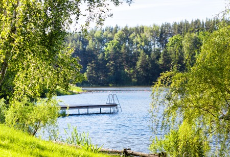 Summer lake near the forest.