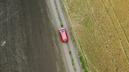 Top view of a field with wheat and a red car moving on the rural road.の写真素材