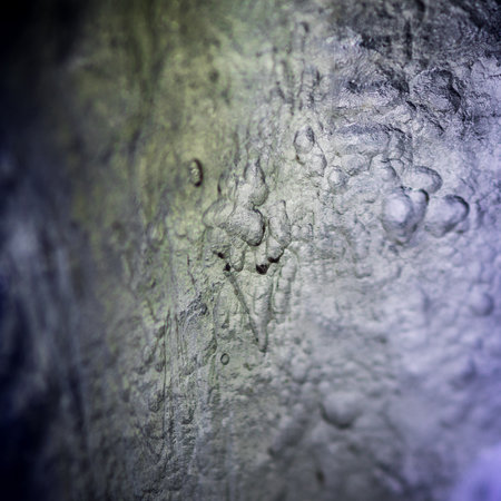 Isolated single close up macro of a rare Moldavite Tektite/ Crystal Meteor Glassy Stone from the Czech Republicの写真素材
