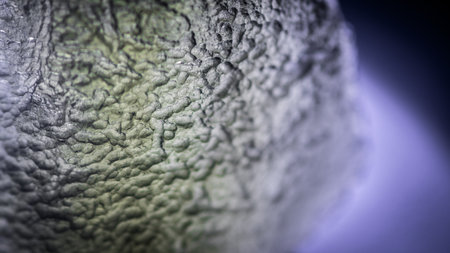 Isolated single close up macro of a rare Moldavite Tektite/ Crystal Meteor Glassy Stone from the Czech Republicの写真素材