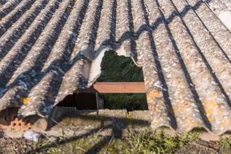 The grass in the ground seen through the broken hole in the roof of an abandoned houseの写真素材