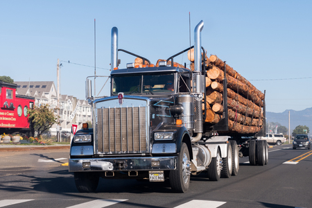 A large truck transports large trunks on the coast of Oregon, USA.のeditorial素材