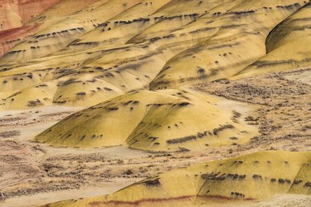 Detail of the arid, wavy and colorful landscape of Painted Hills
