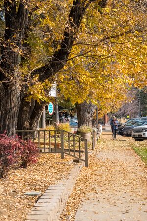 Leaves fallen from trees by fall on the sidewalk of Cascade Street in Sisters, Oregon, USA.のeditorial素材