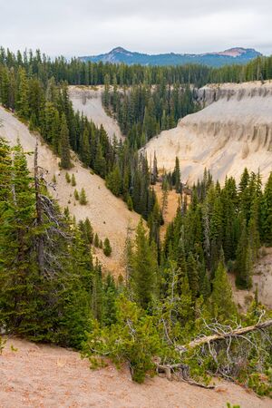 Canyon surrounded by a pine forest next to Annie Falls near Crater Lake, Oregon, USAの写真素材