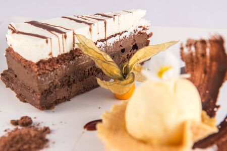 Three-chocolate cake plate with a scoop of vanilla ice cream and a physalis.の写真素材