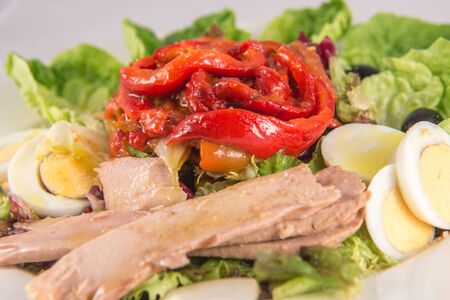 Detail of a zorongollo roast pepper salad with lettuce, bonito and bolied eggの写真素材