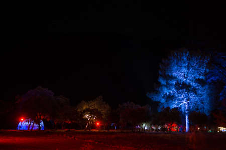 Detail of the illumination in the heart of nature in the Psytrance Lost Theory festival in Rio Malo de Abajoのeditorial素材