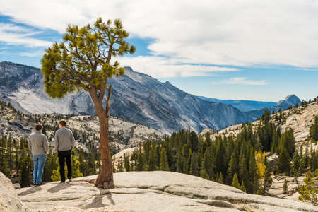 Tourists standing next to a tree that has grown on the Olmsted Point granite in Yosemite National Parkのeditorial素材