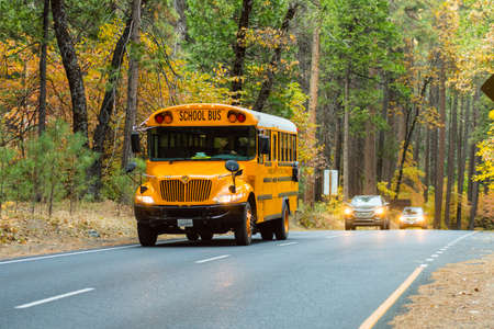 School bus on Northside drive in Yosemite National Parkのeditorial素材