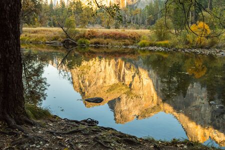 The reflection of Cathedral Peak on the Merced River from the Yosemite Valley Viewpointの写真素材