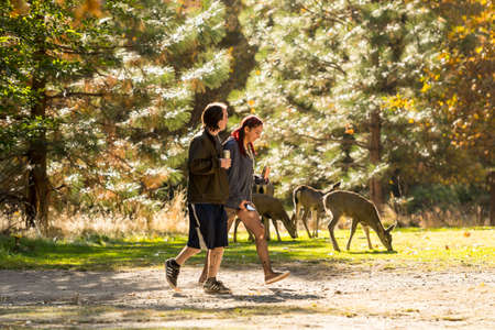 A young couple walks by the fawns next to The Ahwahnee Hotel in Yosemite National Park, California, USA.のeditorial素材