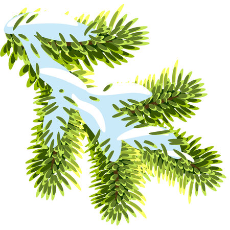 Fir branches under the snowのイラスト素材