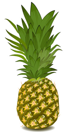 pineappleのイラスト素材