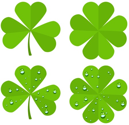 Set clover leaves isolated on white background. Illustration in vector formatのイラスト素材