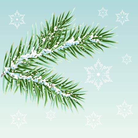 Green Pine branches in the snow. Illustration in vector formatのイラスト素材