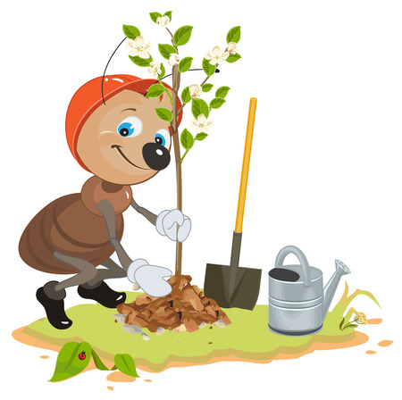 Ant Gardener planting tree. Seedling fruit tree. Apple tree sapling. Cartoon illustration in vector formatのイラスト素材
