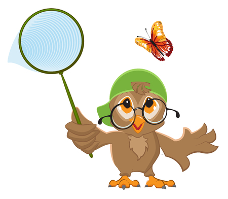 Owl Catches butterfly. Bird and butterfly net. Isolated on white vector illustrationのイラスト素材