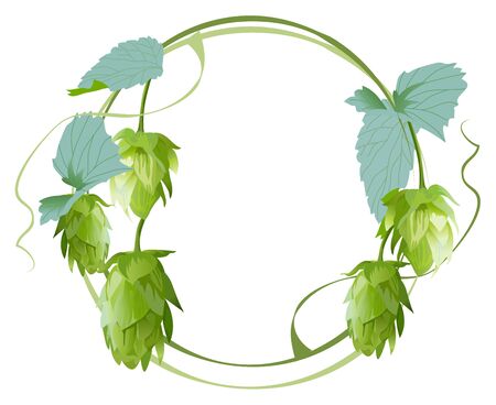 Cones and leaves of hop. Isolated on white illustration