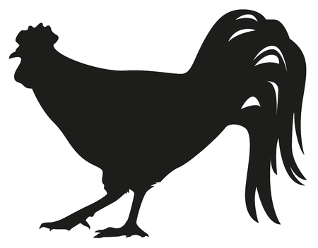Black silhouette of cock. Rooster symbol 2017. Vector illustrationのイラスト素材