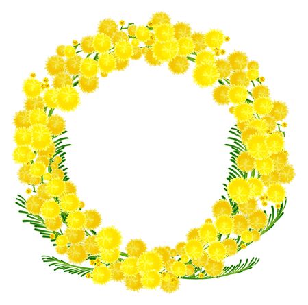 Wreath of yellow acacia flowers twigs. Isolated on white vector illustrationのイラスト素材