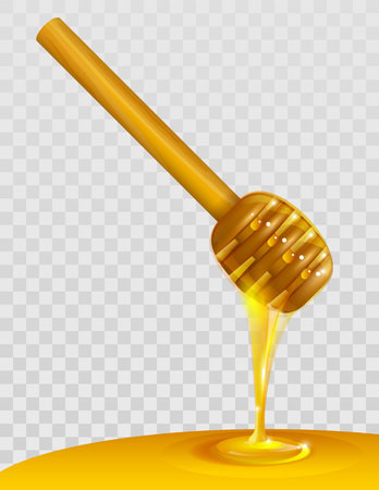 Wooden honey dipper and honey on transparent background. Vector illustrationのイラスト素材