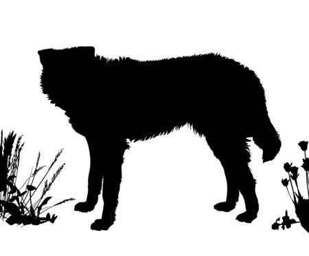 Dog stands sideways. Black silhouette isolated. Vector illustration