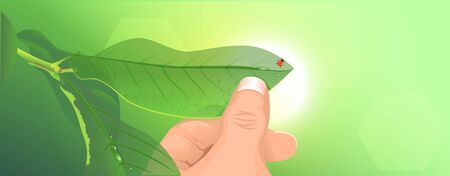 Hand holds green leaf. Ladybird on green background. Vector illustrationのイラスト素材