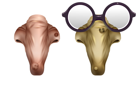 Scary realistic mask witches nose illustration.のイラスト素材