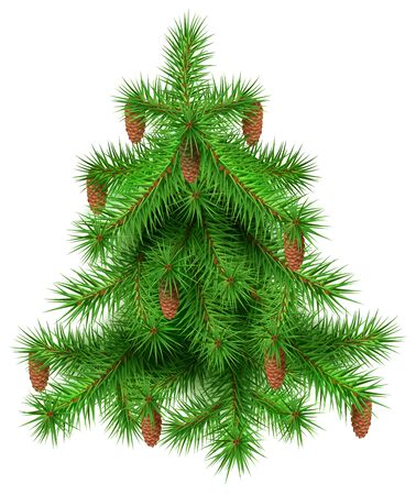 Green christmas fir pine tree with cones. Isolated on white, vector illustrationのイラスト素材