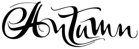 Autumn calligraphy handwritten text isolated on white. Vector lettering illustrationのイラスト素材